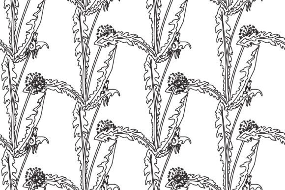 Download Black and White Botanical Abstract Vecto - Premium Resources